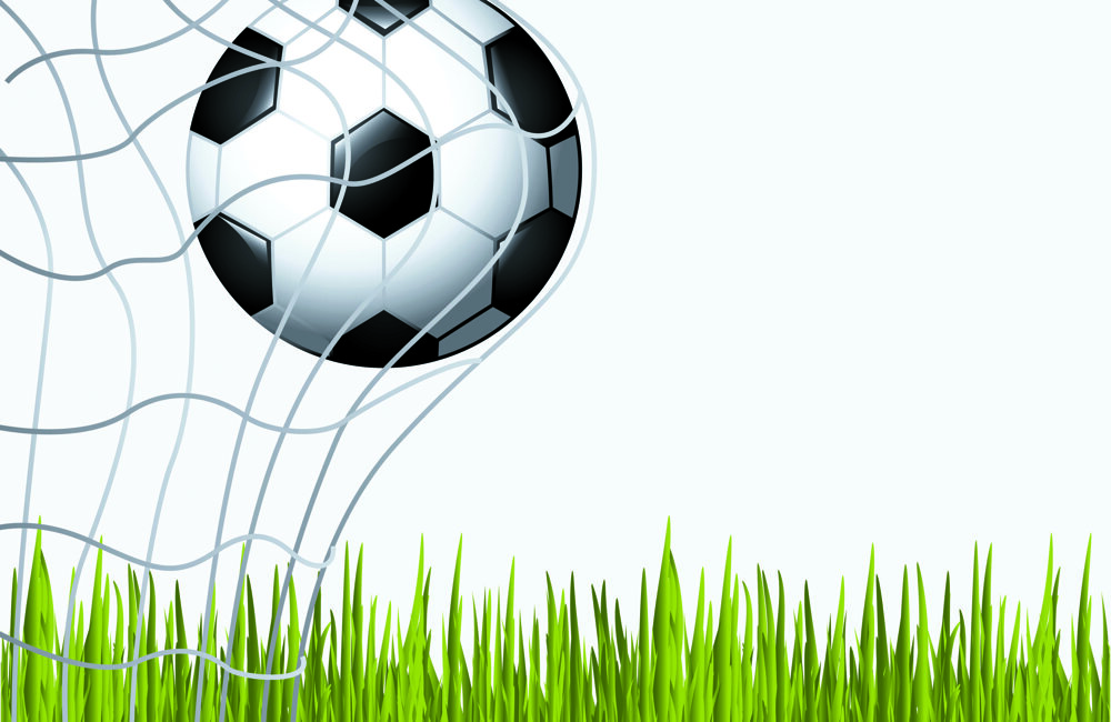 voetbal in net met gras
