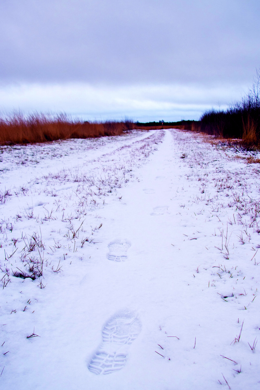 voetstappen in de sneeuw.jpg