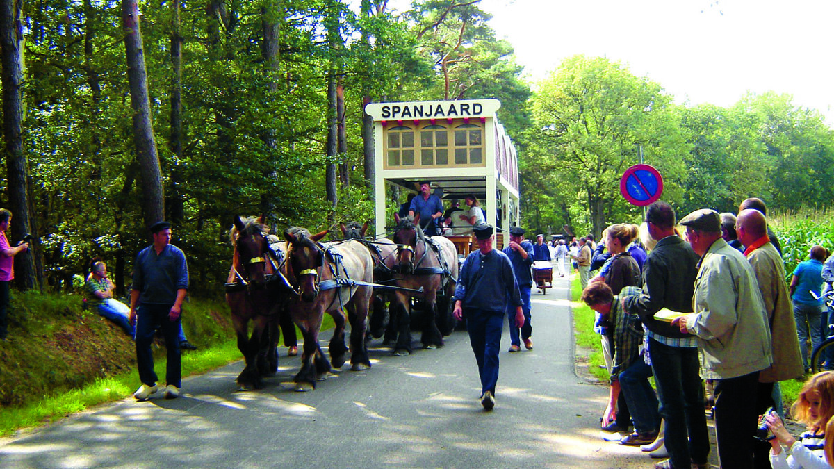 optocht-saasveld-2010-032