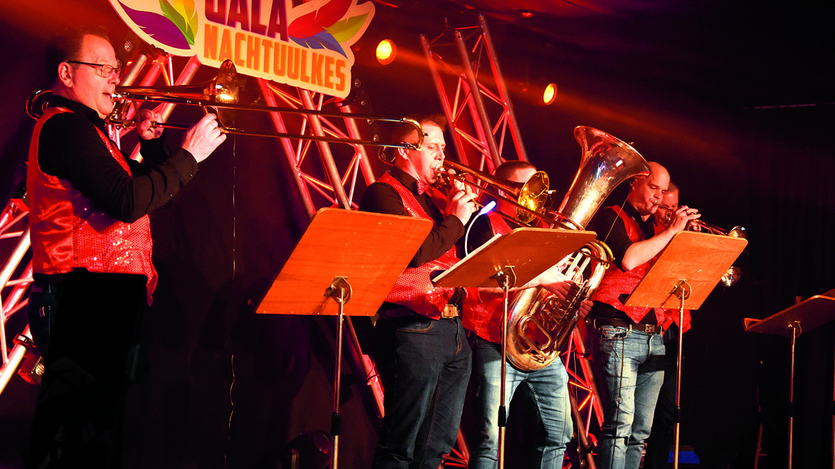 De Nachtuulkes Galaband.JPG