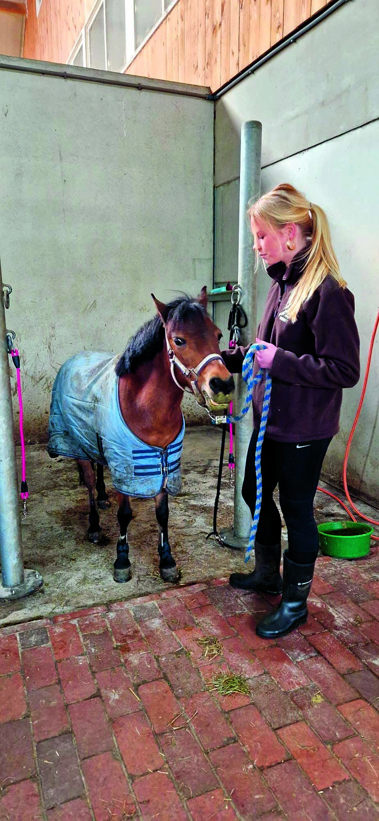 D - erve meinders 9.JPG