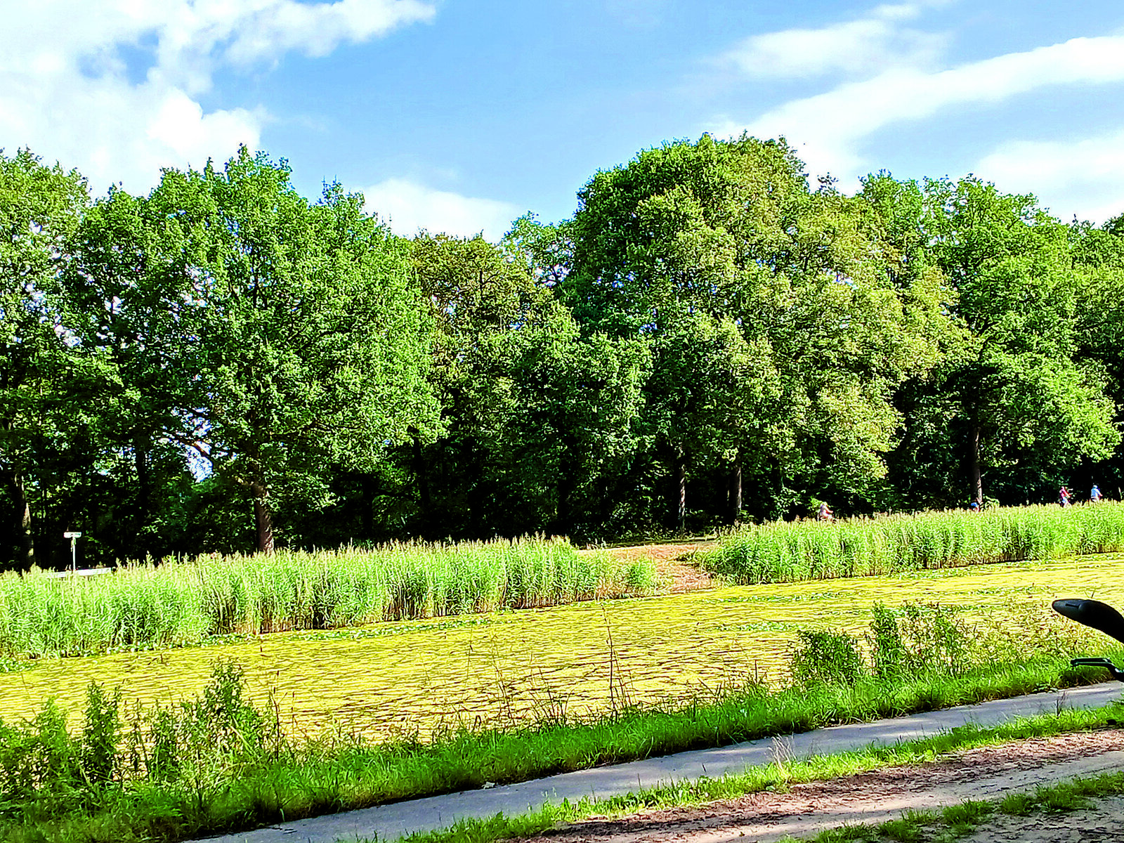 Het Almelo Nordhornkanaal zoals het er momenteel uitzieke