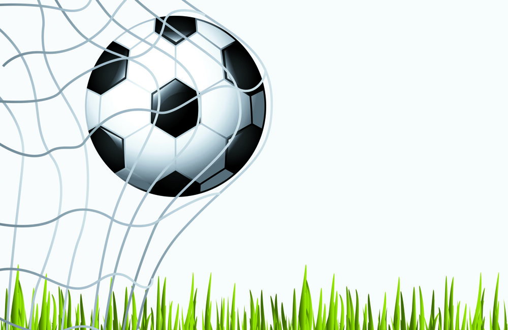 voetbal in net met gras