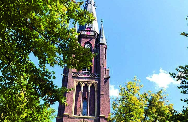 Basiliek foto Ilma Hettema sept 2017