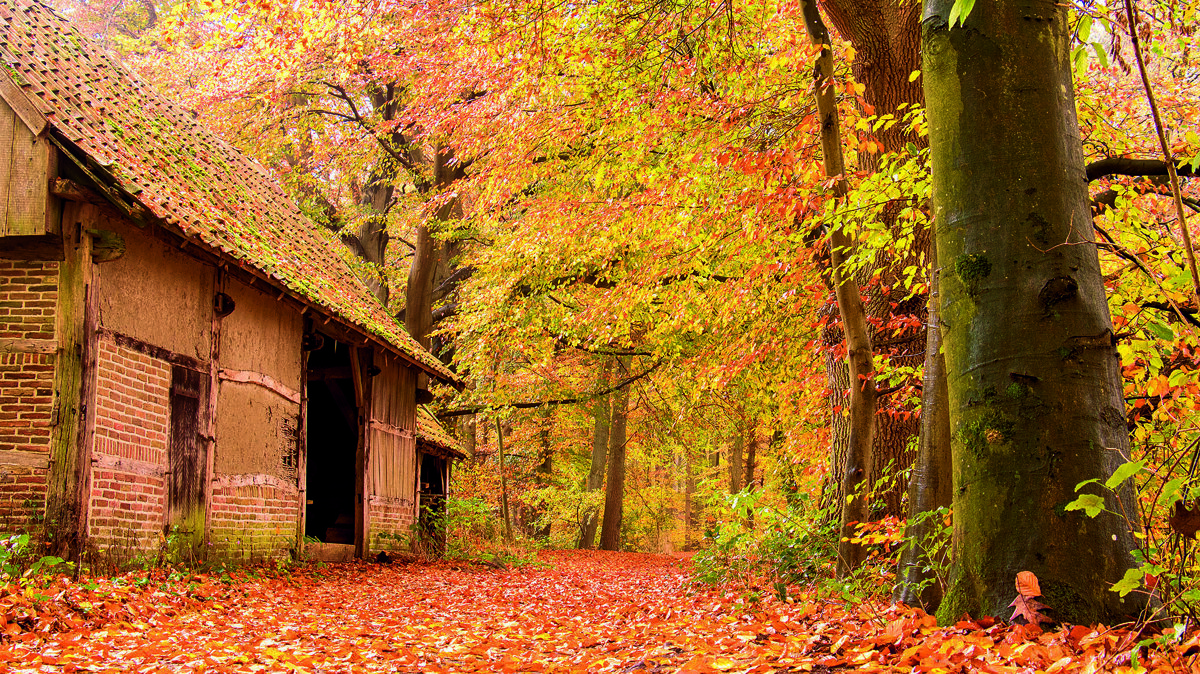 herfstwandeling springendal.jpg