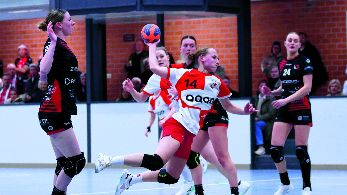 a dsvd - kwiek 14-2-2026 (21) foto Clemens Brughuis.JPG