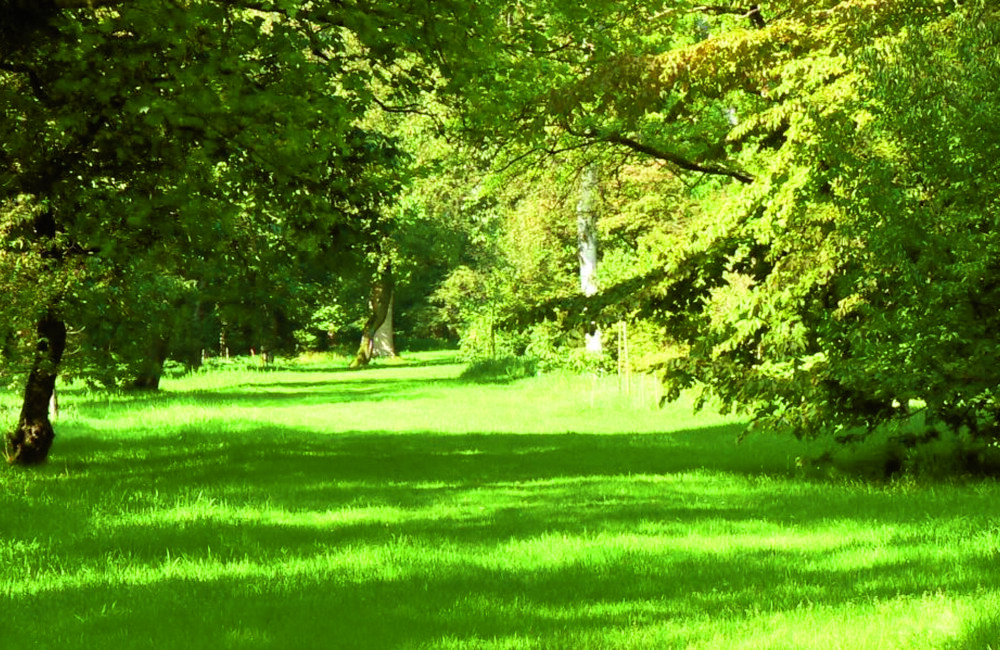 FOTO Wandeling Benno