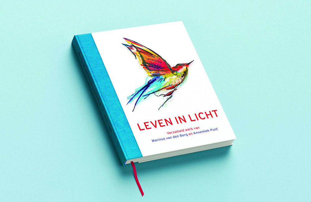 Leven in licht.jpg