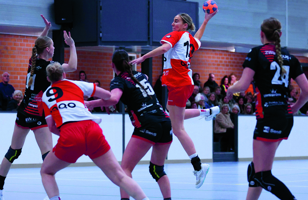 a dsvd - kwiek 14-2-2026 (19) foto Clemens Brughuis.JPG