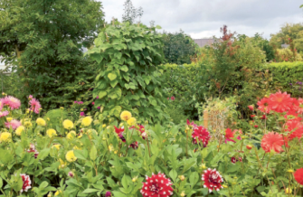 Schermafbeelding 2026-04-23 om 09.13.34.png