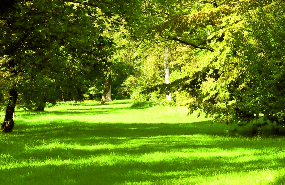 Wandeling Benno