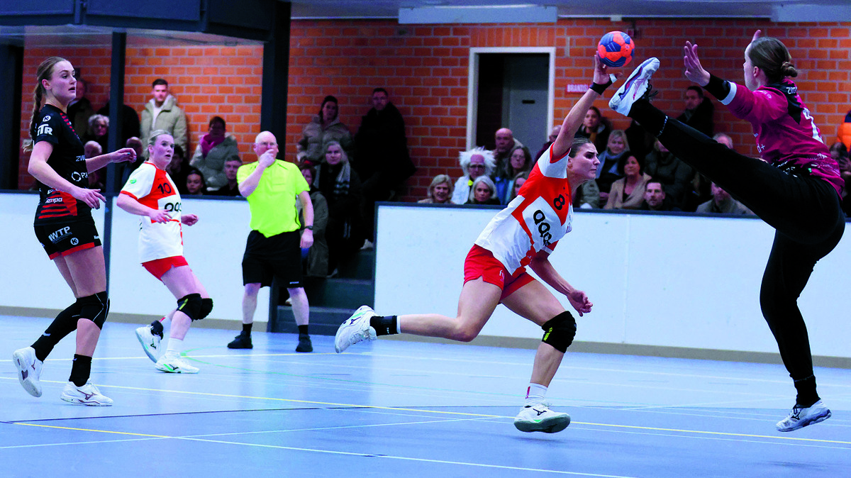 a dsvd - kwiek 14-2-2026 (17) foto Clemens Brughuis.JPG